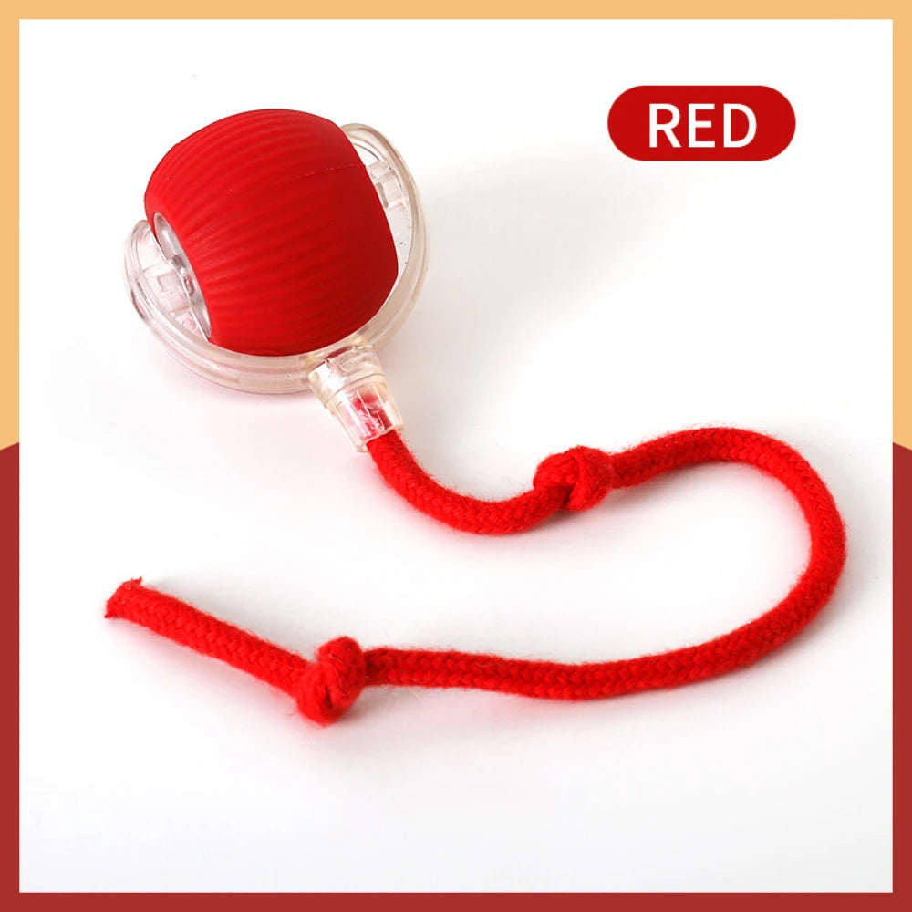 Manozzi LumiRoll™ – Slimme Oplaadbare Speelbal met Licht voor Katten & Kleine Honden