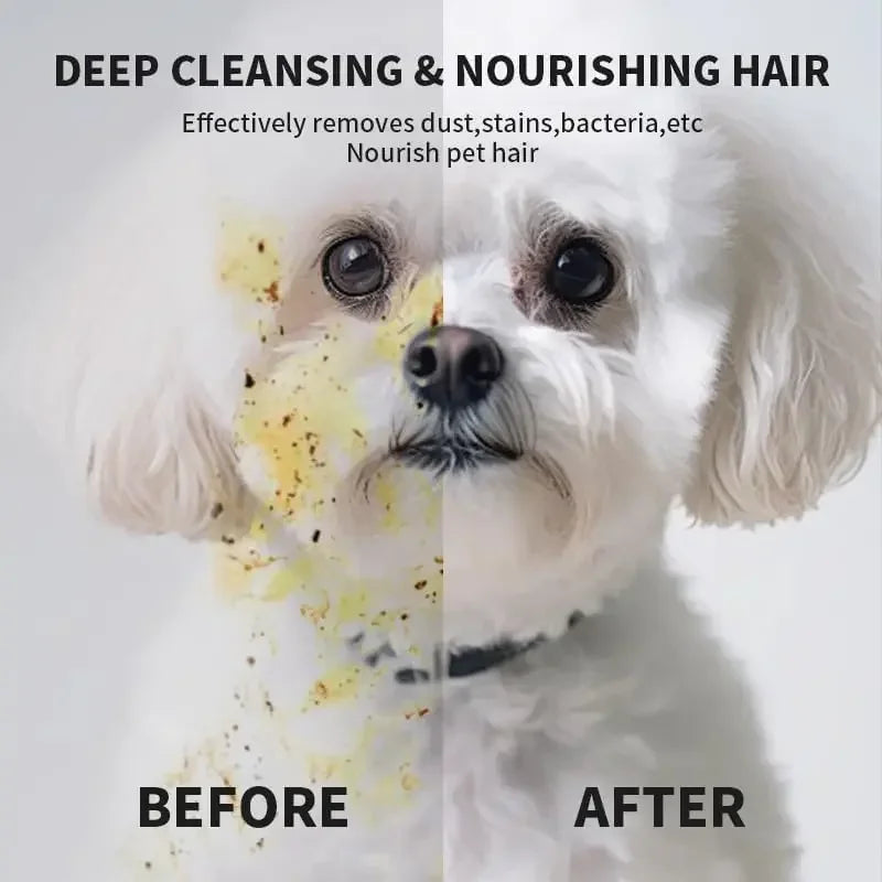 💧 Manozzi CleanGlove™Bestel 4 pakken en betaal €25!!! – Waterloze verzorgingshandschoenen voor Katten & Honden