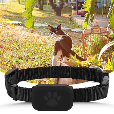 Manozzi PetTracker™ – GPS Halsband voor Katten & Kleine Honden met Veiligheidssluiting & Lange Batterijduur