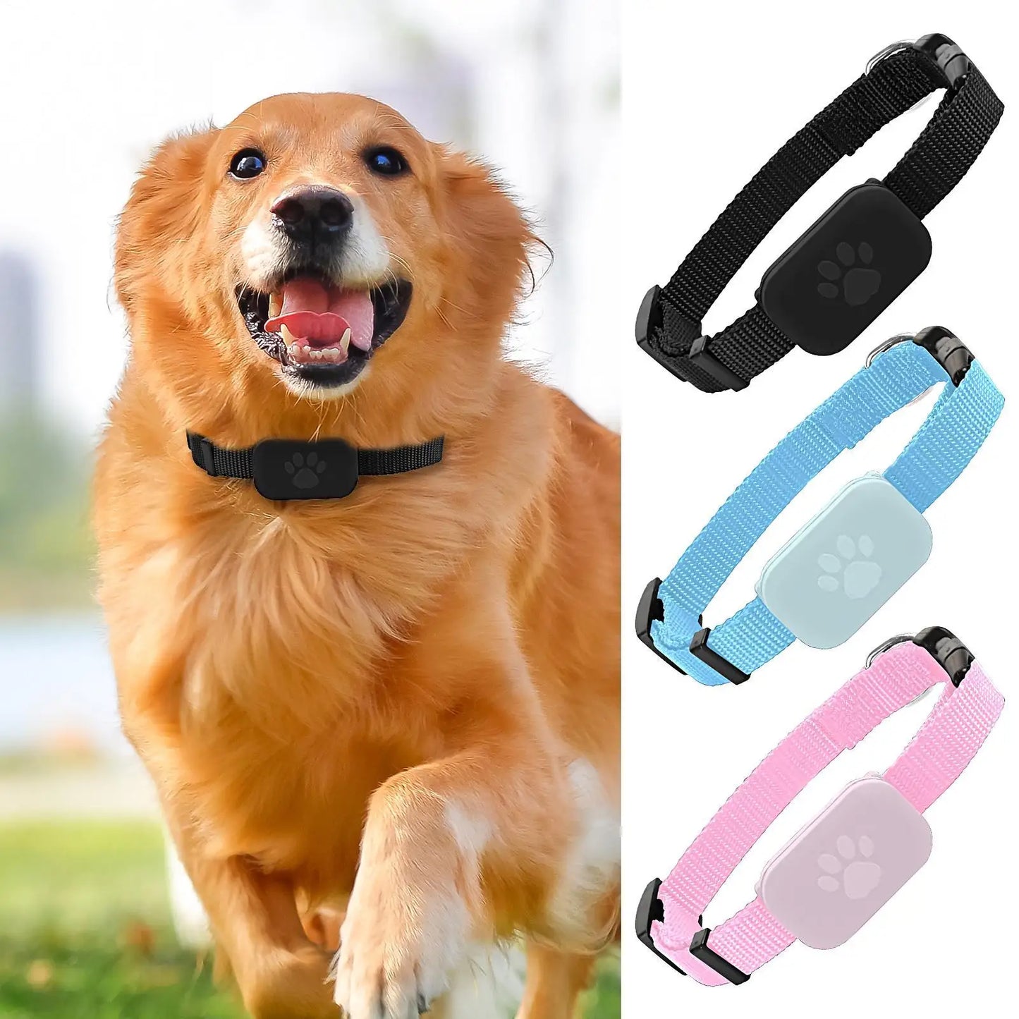 Manozzi PetTracker™ – GPS Halsband voor Katten & Kleine Honden met Veiligheidssluiting & Lange Batterijduur