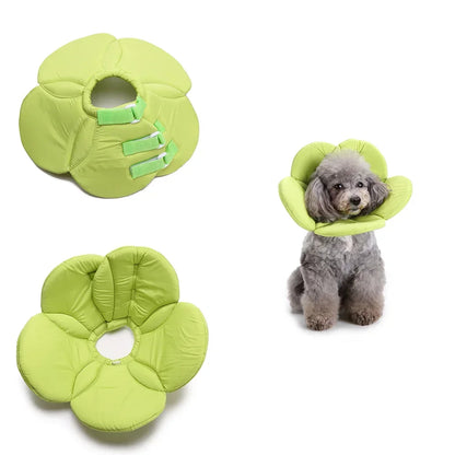 🌸 Manozzi SoftCare™ – Comfortabele Herstelkraag voor Honden & Katten