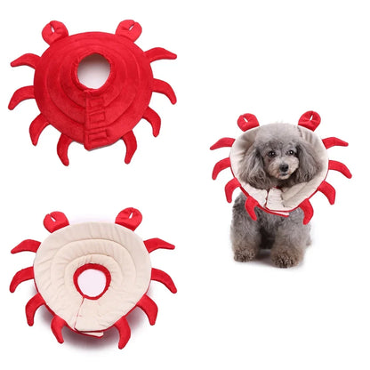🌸 Manozzi SoftCare™ – Comfortabele Herstelkraag voor Honden & Katten