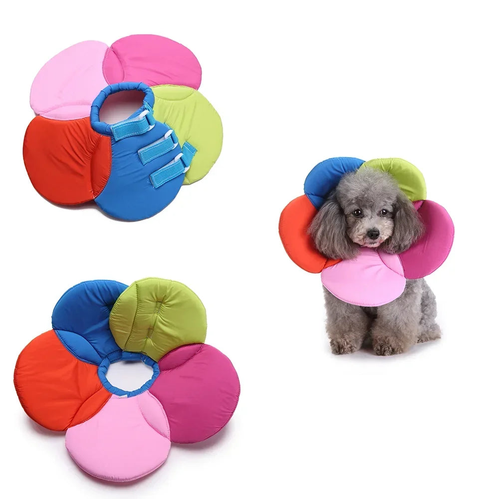 🌸 Manozzi SoftCare™ – Comfortabele Herstelkraag voor Honden & Katten