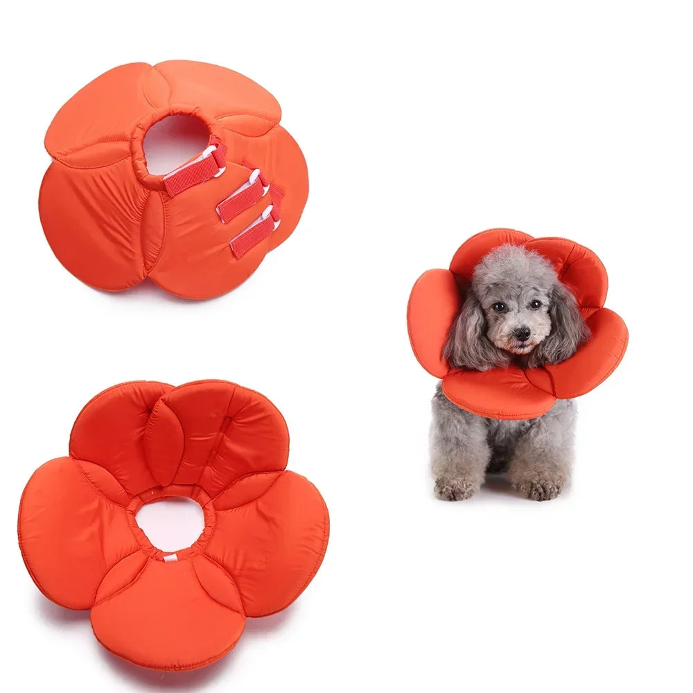🌸 Manozzi SoftCare™ – Comfortabele Herstelkraag voor Honden & Katten