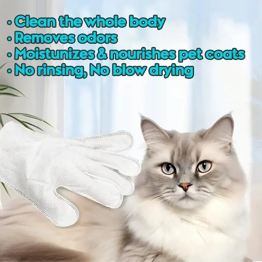 💧 Manozzi CleanGlove™Bestel 4 pakken en betaal €25!!! – Waterloze verzorgingshandschoenen voor Katten & Honden